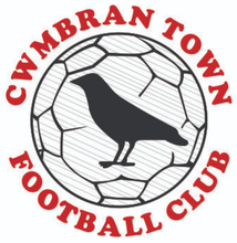 Load image into Gallery viewer, Cwmbran Town Bobble Hat with Club Logo