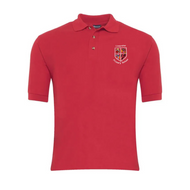 Llanyrafon Polo Top